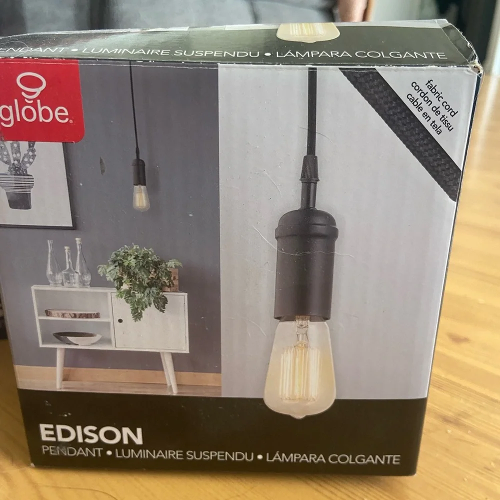 Globe Black Edison Pendant Light